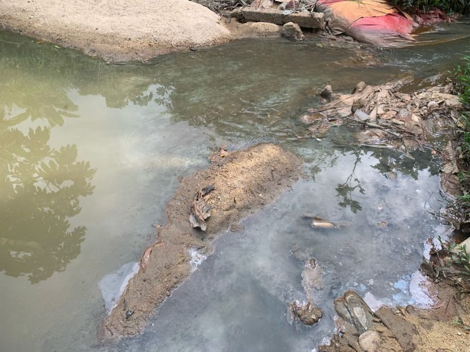 油漆污水肇祸 太平村沟渠惊现蓝色污水