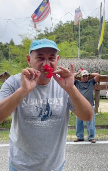 视频|美籍游客生吃大红花 称有降血压作用引热议