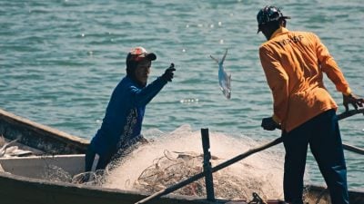 陈子韩／水面波光粼粼