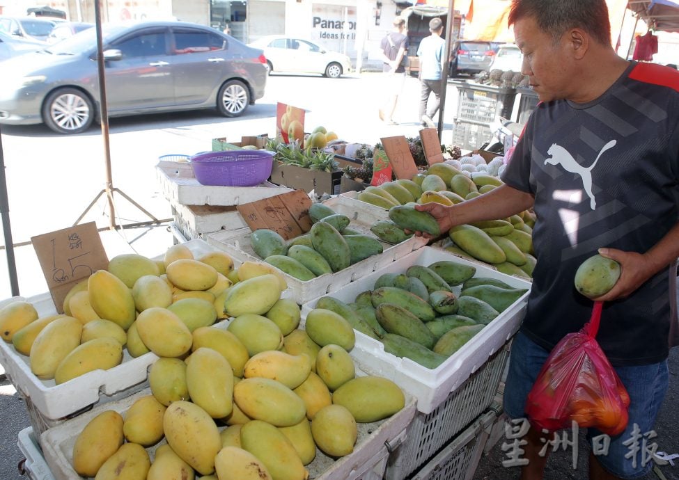 霹：封面主文／斋戒月第三周西瓜草莓多 市场无法消化廉价卖