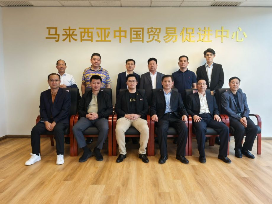 马中林业等领域合作前景广阔 