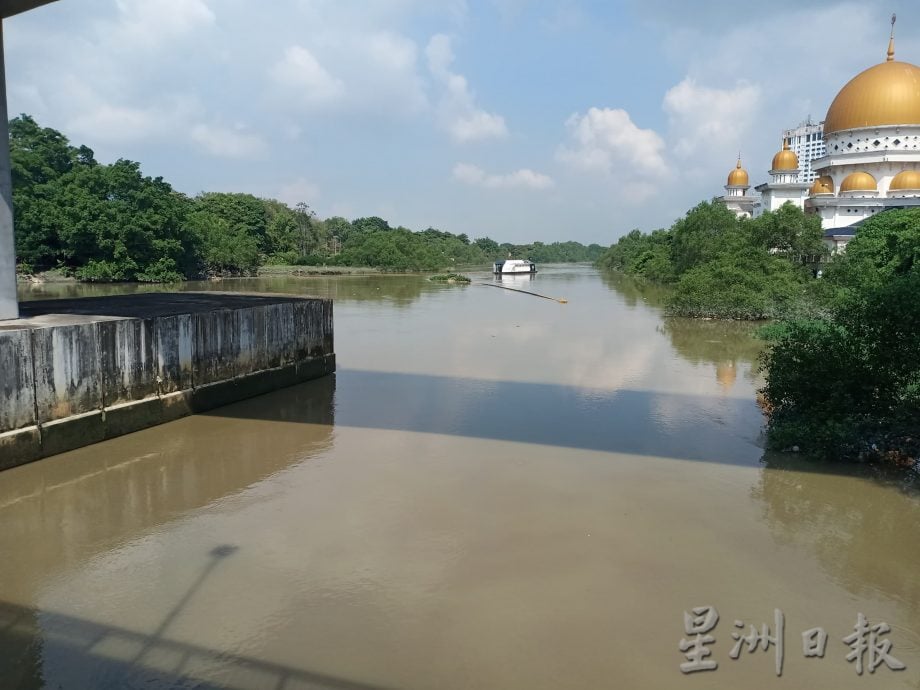 巴生河水质好转吸引鳄鱼回归