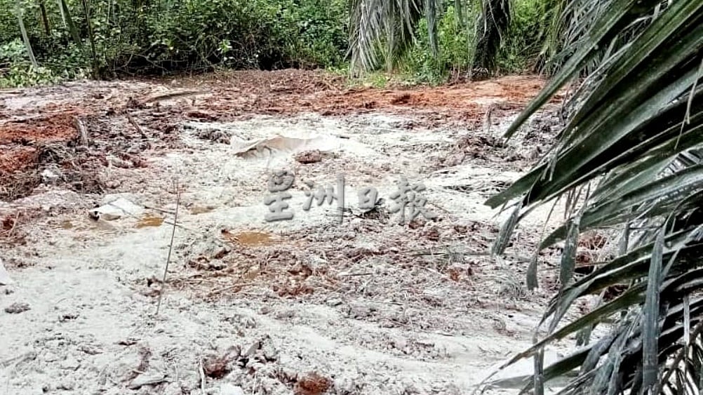 （共上网）逾百只病死猪越州弃河道，森卫生局联合多单位展开清河及消毒行动