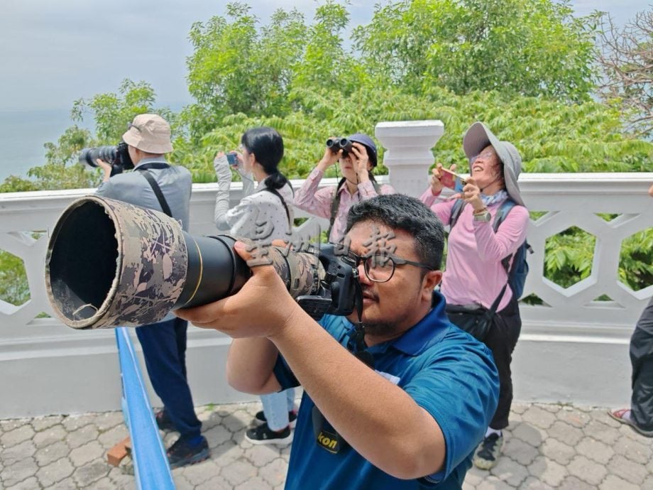 (古城封面主文)丹绒端5天累计8000老鹰过境,大自然爱好者纷纷捕捉珍贵画面