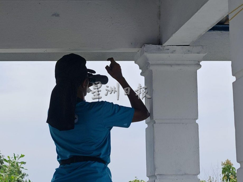 (古城封面主文)丹绒端5天累计8000老鹰过境,大自然爱好者纷纷捕捉珍贵画面