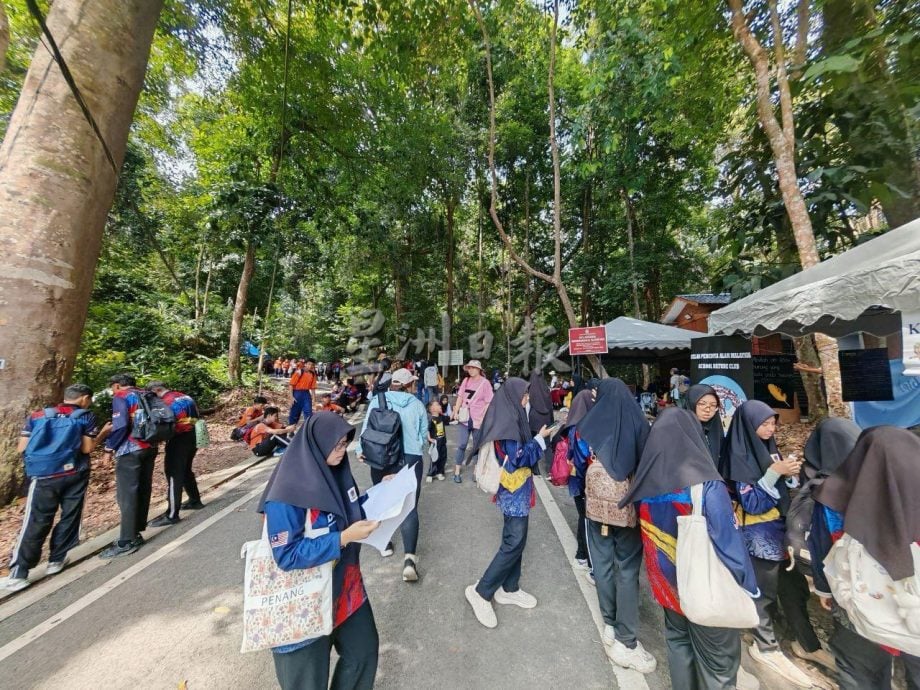 (古城封面主文)丹绒端5天累计8000老鹰过境,大自然爱好者纷纷捕捉珍贵画面