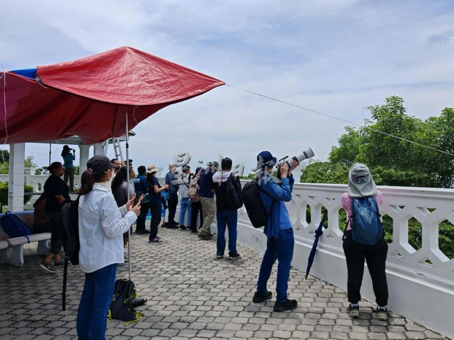 (古城封面主文)丹绒端5天累计8000老鹰过境,大自然爱好者纷纷捕捉珍贵画面