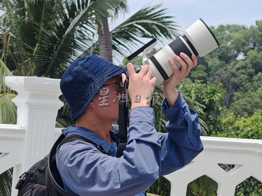 (古城封面主文)丹绒端5天累计8000老鹰过境,大自然爱好者纷纷捕捉珍贵画面