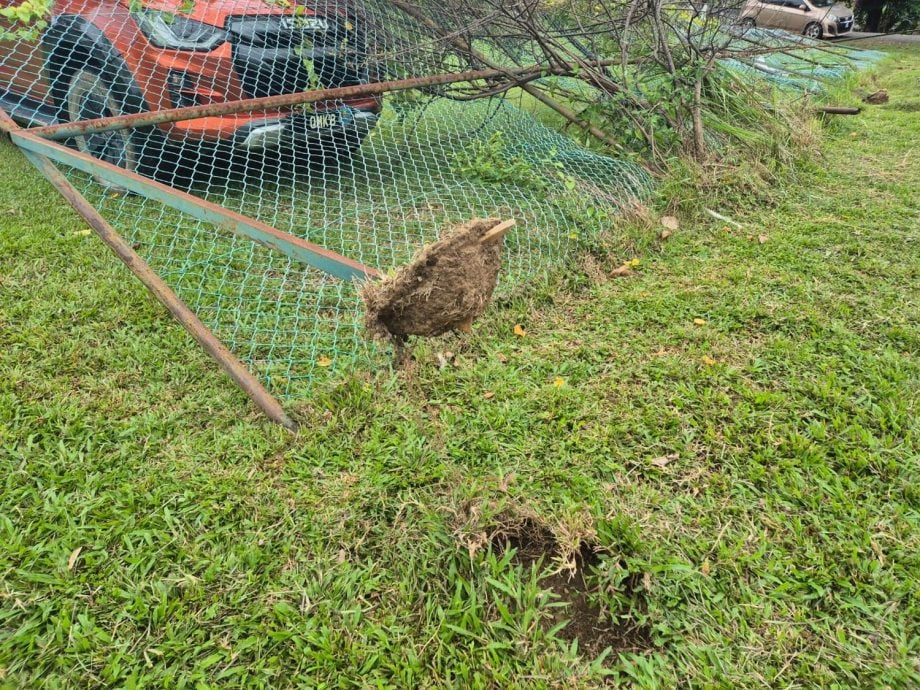 （古城封面副文）草场篱笆围栏倒压车