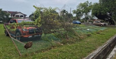 大风雨来袭泥土流失  草场篱笆围栏倒 压车