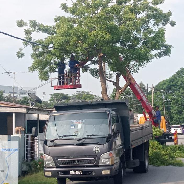 （古城第四版主文）汉都亚再也市议会去年砍伐逾千树·修剪逾3千树