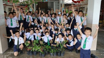 绿量 | 从课堂到生活实践   协和小学引领绿生态文明教育 