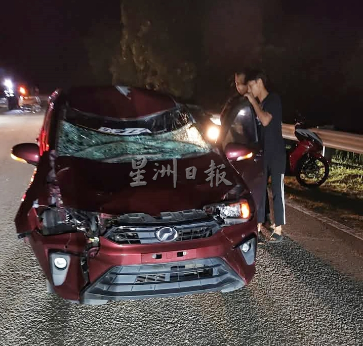 (大北马)骑士撞牛只不治身亡轿车刹车不及再撞上酿3伤