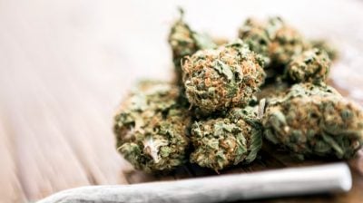 13名外国人泰国走私大麻被捕 12人原本飞新加坡