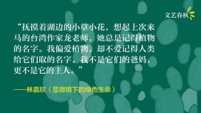 林嘉欣/显微镜下的绿色生命