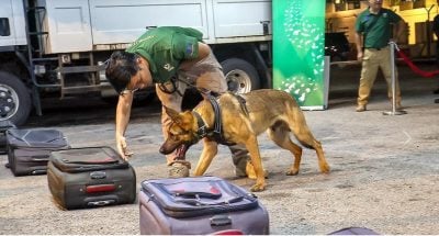 打击野生动物走私  机场出动嗅探犬筛查行李！