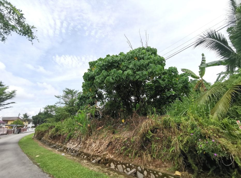 NS芙蓉/面对空地杂草困扰求助无果，人民代议士回应冷淡令居民失望