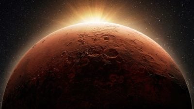 卢乐荣 | 火星进狮子，接下来的2个月，你该闪了！