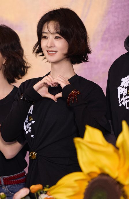 2电影票房接连失利 赵丽颖恐重返电视剧战场