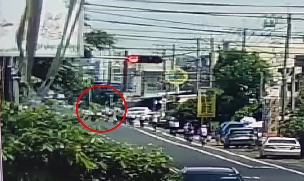 30师生骑脚车环岛游 汽车逆驶撞车队酿8伤