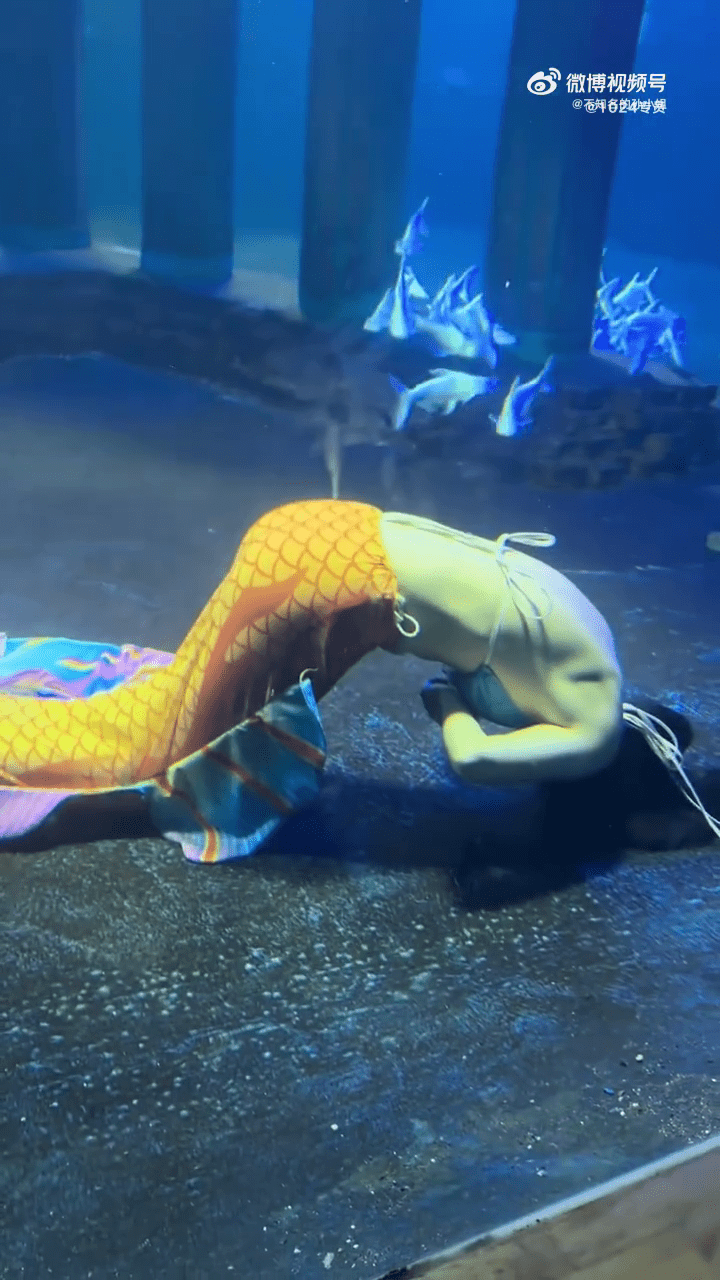 “美人鱼”抽搐晕倒惊险被救 游客误为表演环节