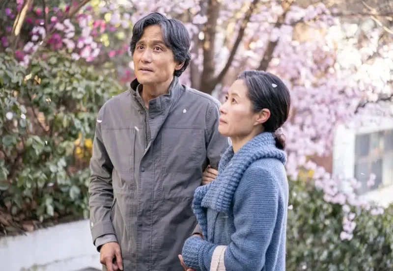 《苦尽》朴海俊无缘入围百想　剧迷抱屈：还我眼泪