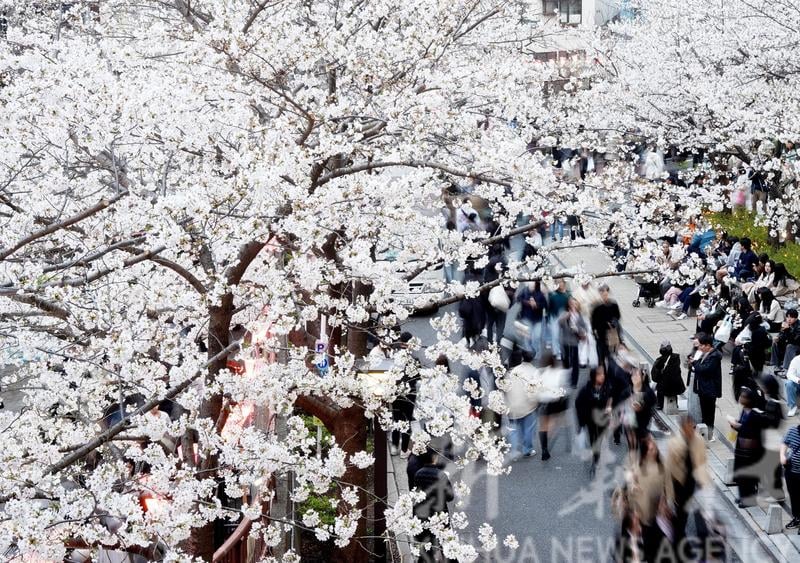 中国五一假期出游 日本最火爆 吉隆坡热门