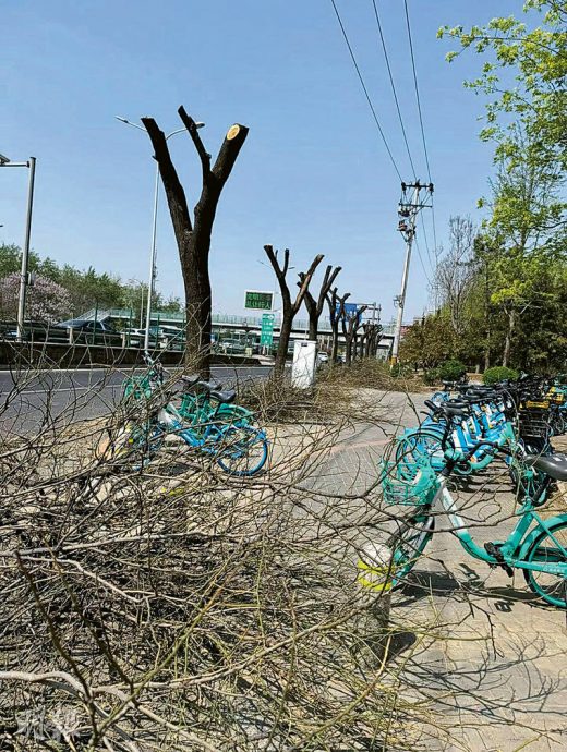 京周末极端大风吁居家 机械人半马拉松赛延期