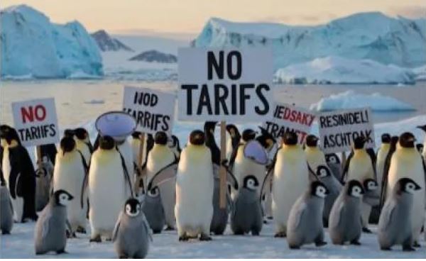 企鹅岛也被征税  美商务部长：防止其他国家“钻空子”