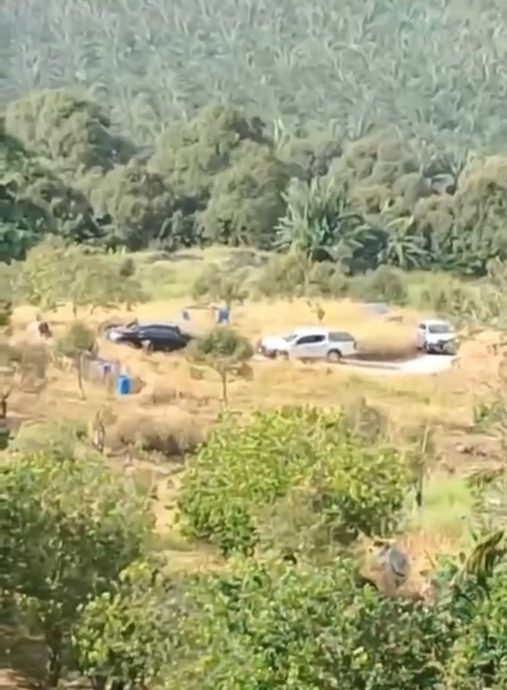 全国：彭执法队第8天续毁芭，料300棵猫山王遭殃