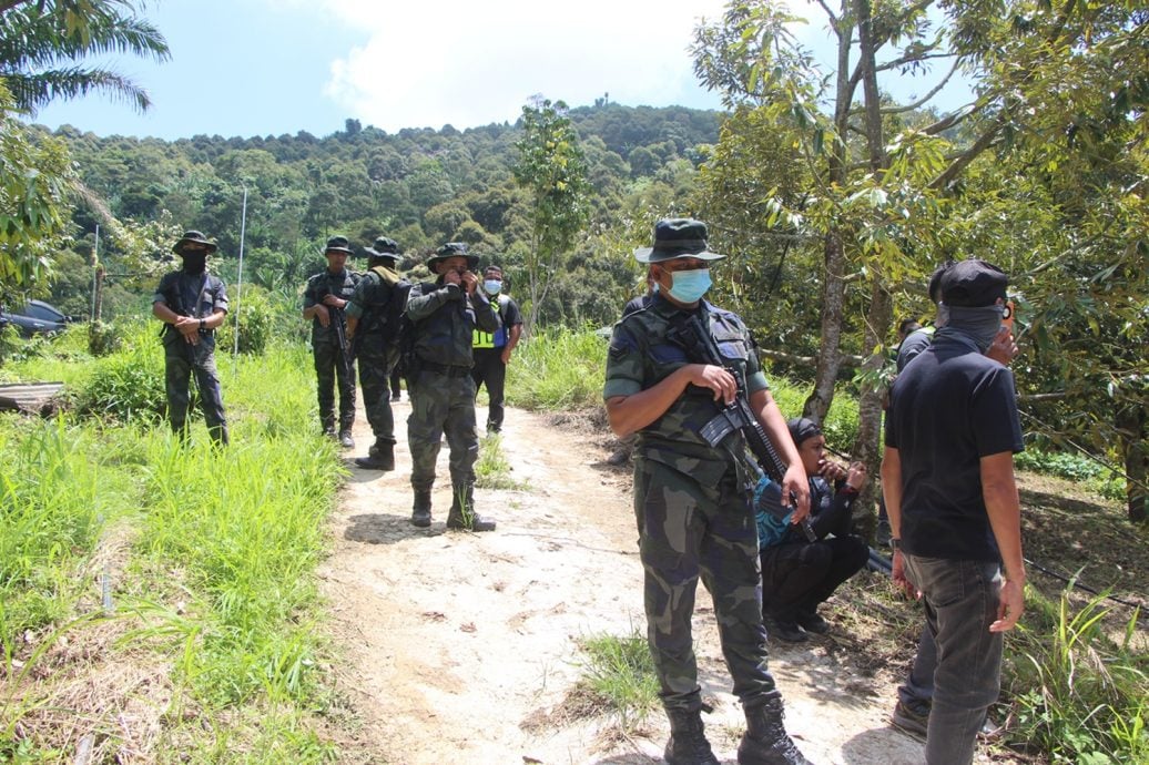 全国:彭政府执法3天摧毁非法芭猫山王,至今已覆盖202公顷土地