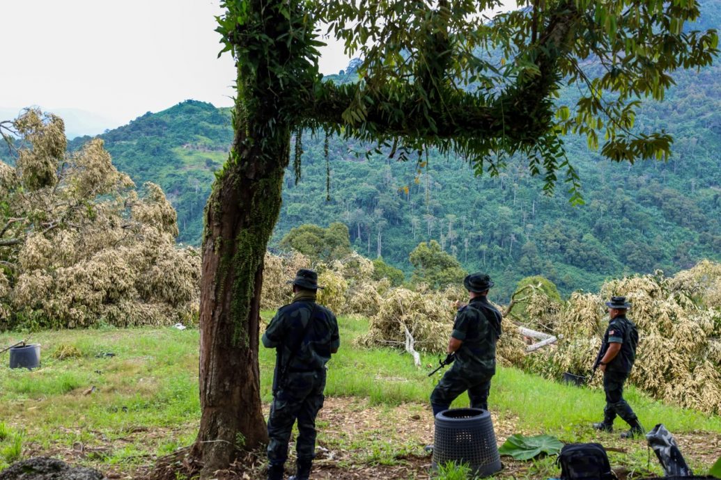 全:8个非政府组织公开表态支持彭州政府,对劳勿双溪吉流猫山王非法芭展开的执法行动,并建议政府动用SOSMA对付“阻差办公”者。