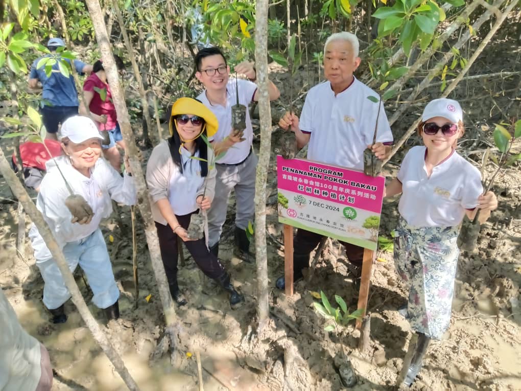 半岛心旅行:巴力卡欣红树林公园 探索自然生态的魅力