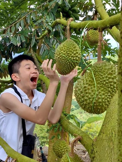 半岛心旅行 蔚然成风方兴未艾,西彭生态旅游魅力无边