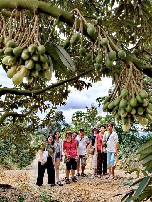 半岛心旅行 蔚然成风方兴未艾,西彭生态旅游魅力无边