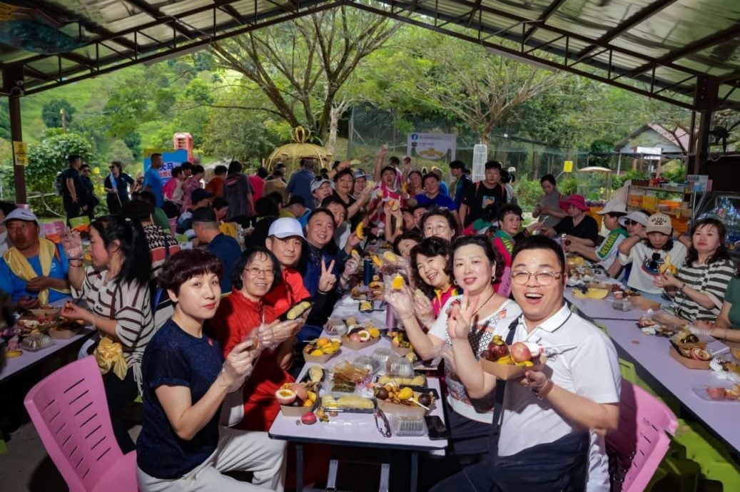 半岛心旅行 蔚然成风方兴未艾,西彭生态旅游魅力无边