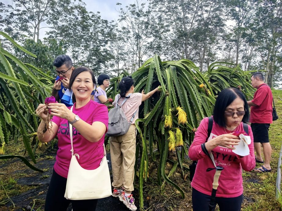 半岛心旅行 蔚然成风方兴未艾,西彭生态旅游魅力无边