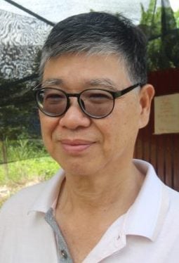 半岛心旅行 蔚然成风方兴未艾,西彭生态旅游魅力无边