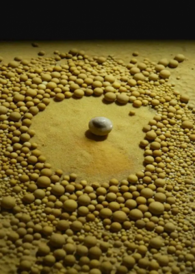 取代/拚盘 /贵州深山发现4.8亿年前“地下水晶宫”