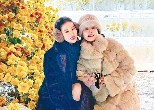 因美籍身分惨遭关税波及 刘亦菲挨酸：片酬先课税125％