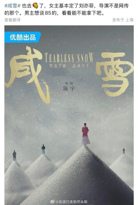 因美籍身分惨遭关税波及 刘亦菲挨酸：片酬先课税125％