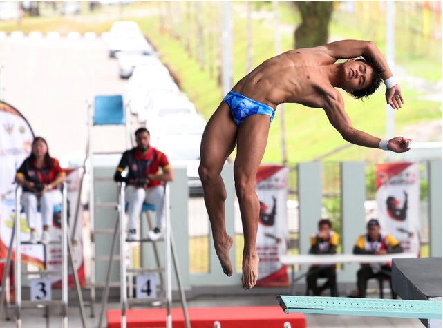 大马跳水“猫王”  埃维斯‧普里斯特利