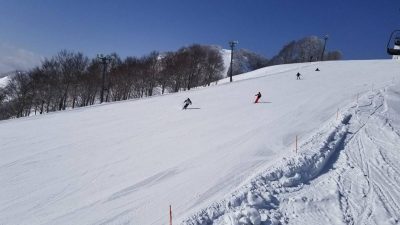头下脚上倒插树洞 中国男子毙命日本滑雪场