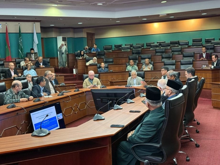 安华:郑和精神与昌明理念相承 “可借鉴应对全球性挑战”