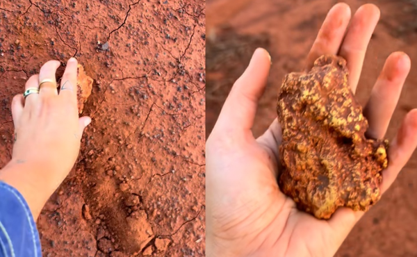 巨大金块藏在红土中　女子挖出后开心网上分享