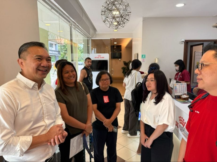 布特拉高原气爆|两间宠物店伸出援手 免费照顾猫狗1个月