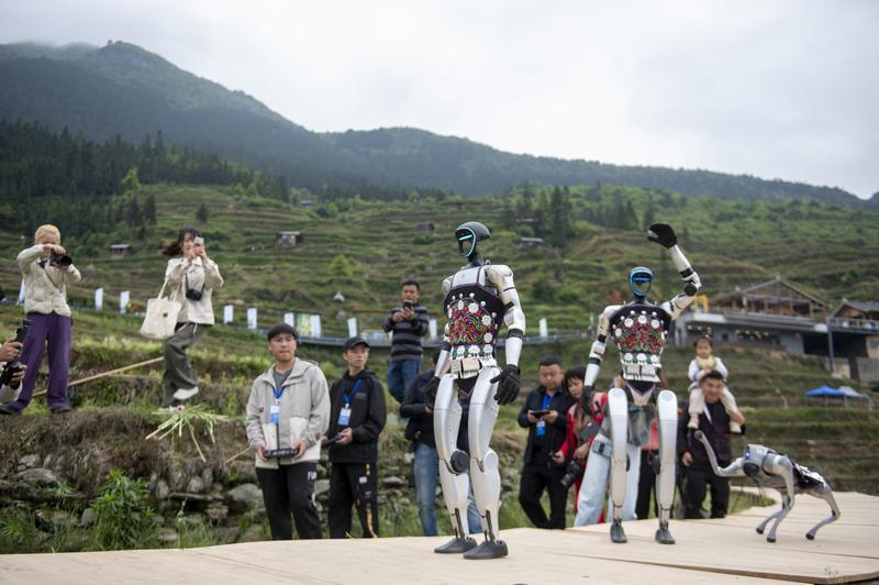 拚图三图)中国最美梯田设T台  模特农民与机械人同场