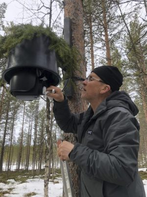 拼盘 900万人等着看!瑞典“慢电视”24小时直播“驼鹿大迁徙