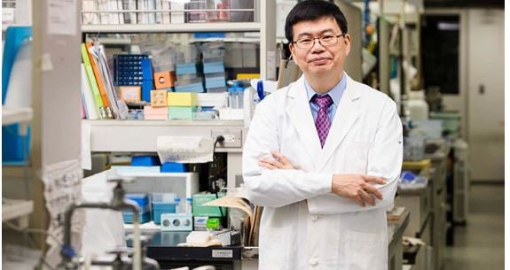 拼盘 日本科学家用“重编程”干细胞 让瘫痪患者重新站立