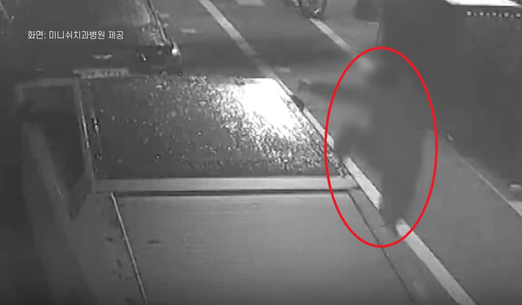 暴走踹特斯拉Cybertruck、宝马 中国男游客遭韩警逮捕